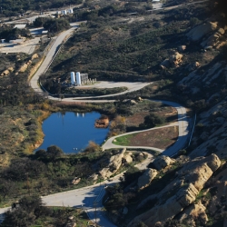 Silvernale