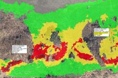 EPA Radiological Survey of Area IV and the Northern Buffer Zone