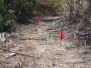 Brentwood nuclear dump testing - December 6, 2006