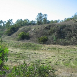 va-12-8-09-37