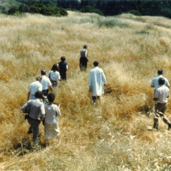 CBG-color-10