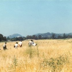 CBG-color-7