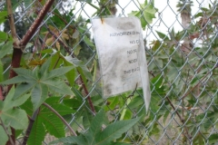 VA nuclear dump photos