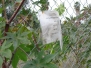 VA nuclear dump photos