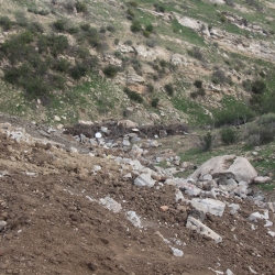 Wayne Fishback Browns Canyon Jan 25 2015 18
