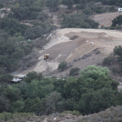 Wayne Fishback Browns Canyon June 29 2015 33