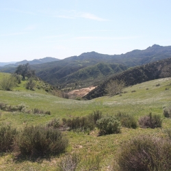 Wayne Fishback Browns Canyon March 5 2015 1