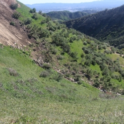 Wayne Fishback Browns Canyon March 5 2015 12