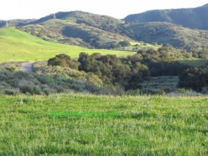 KB Home plans to build 461 homes in Runkle Canyon, adjacent to the highly polluted Rocketdyne site.