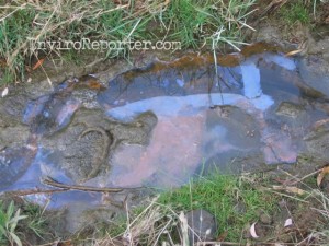 This chemical sheen was discovered in a Runkle Canyon creek on Thanksgiving 2006.