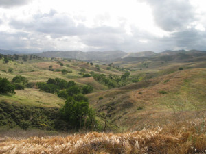 Earthly Secrets at Ahmanson Ranch