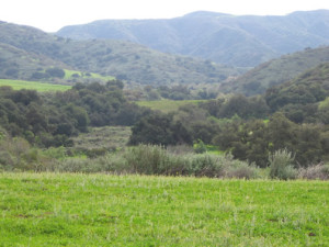 Neighborhood Threat - Runkle Canyon