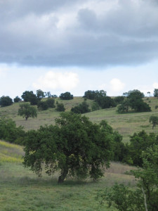 Suited Up over Ahmanson Ranch