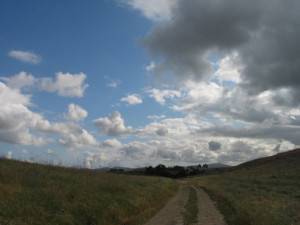 The Feeling is Mutual - Ahmanson Ranch