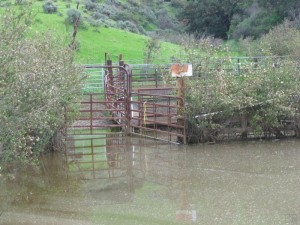 Runkle Canyon corral under waters protected by Clean Water Act