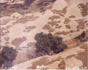 Barrels dumped outside of Area IV - 1979