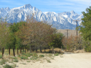 Lone Pine