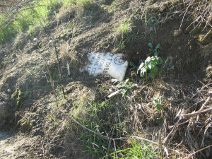 The tombstone of a soldier who fought in World War I is emerging from the West LA VA nuclear dump.