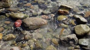 Topanga Canyon Creek at Pacific