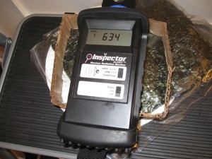 Testing seaweed at Radiation Station Santa Monica