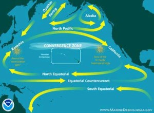 NOAA Pacific Ocean currents