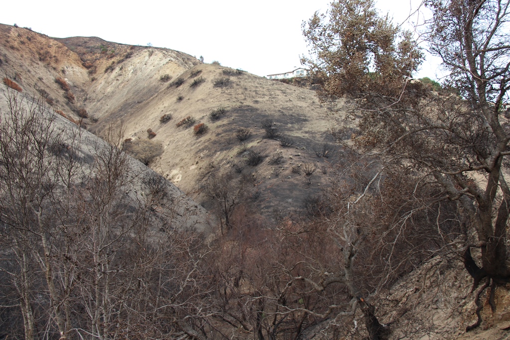 Rocketdyne-Woolsey Fire ash on burnt Malibu hillside adjacent Malibu Temple